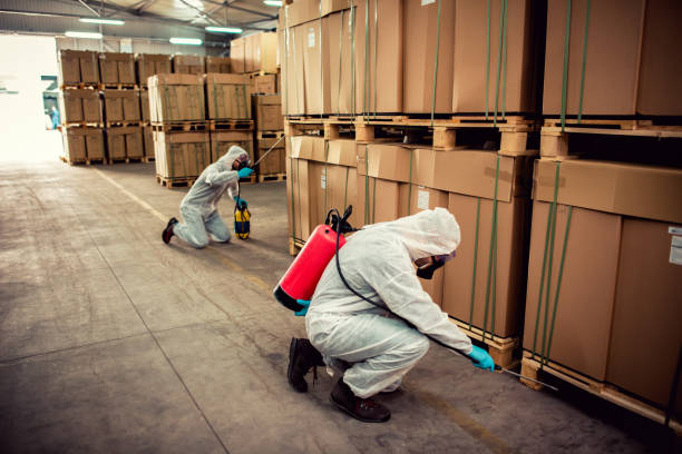 Best Pest Inspection Near Me  in Chattanooga, TN