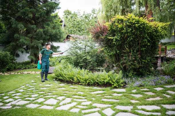 Best Residential Pest Control  in Chattanooga, TN