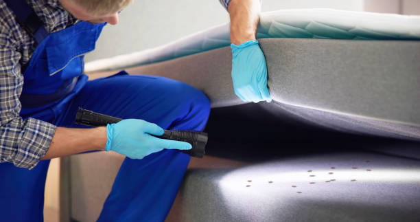 Best Pest Prevention Services  in Chattanooga, TN