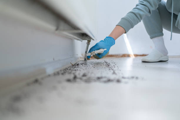 Insect Control in Chattanooga, TN