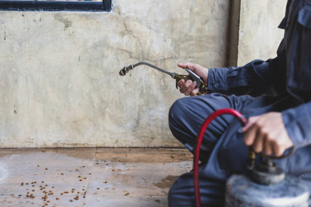 Best Mosquito Control Services  in Chattanooga, TN